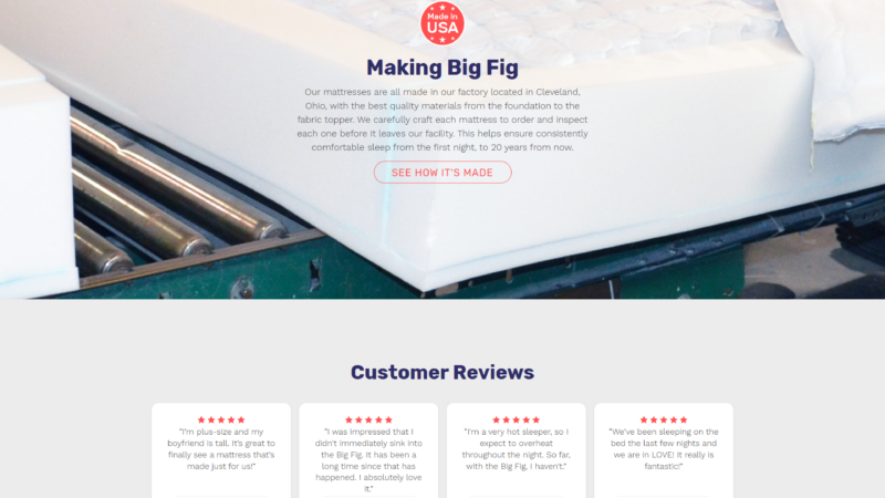 Building a Brand That Generated $1M Before Launch